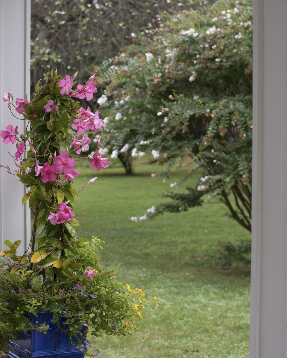outdoordetail2